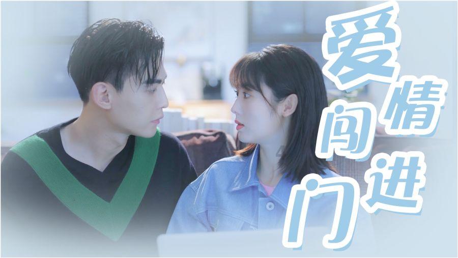 射击红色鸟